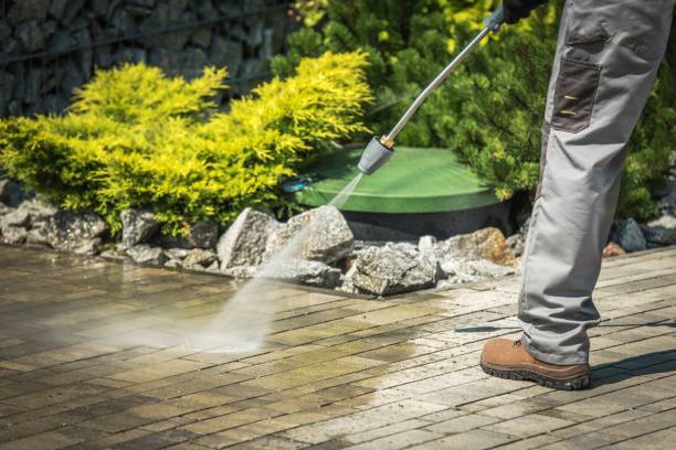Best Pre-Holiday Cleaning  in Mays Landing, NJ